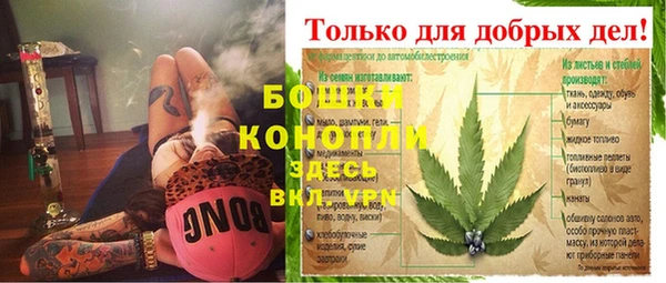 гашик Россошь