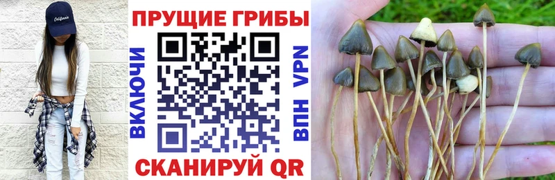 Галлюциногенные грибы мухоморы Макарьев