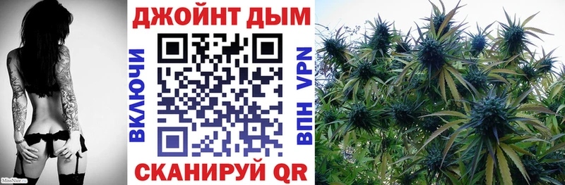 купить наркотики сайты  Макарьев  Бошки Шишки сатива 